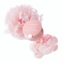 Laneige Bouncy & Firm Plumping Lip Treatment