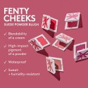 Fenty Beauty Cheeks Suede Waterproof Powder Blush