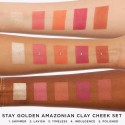 Tarte Stay Golden Amazonian Clay Cheek Set